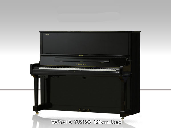 Music City – Tổng Kho Piano, Guitar, Organ | Dịch Vụ Giáo Dục Âm Nhạc