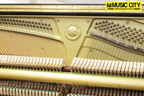 Music City – Tổng Kho Piano, Guitar, Organ | Dịch Vụ Giáo Dục Âm Nhạc