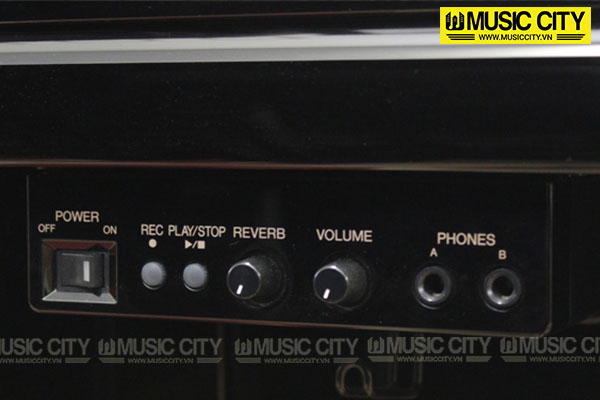 Music City – Tổng Kho Piano, Guitar, Organ | Dịch Vụ Giáo Dục Âm Nhạc