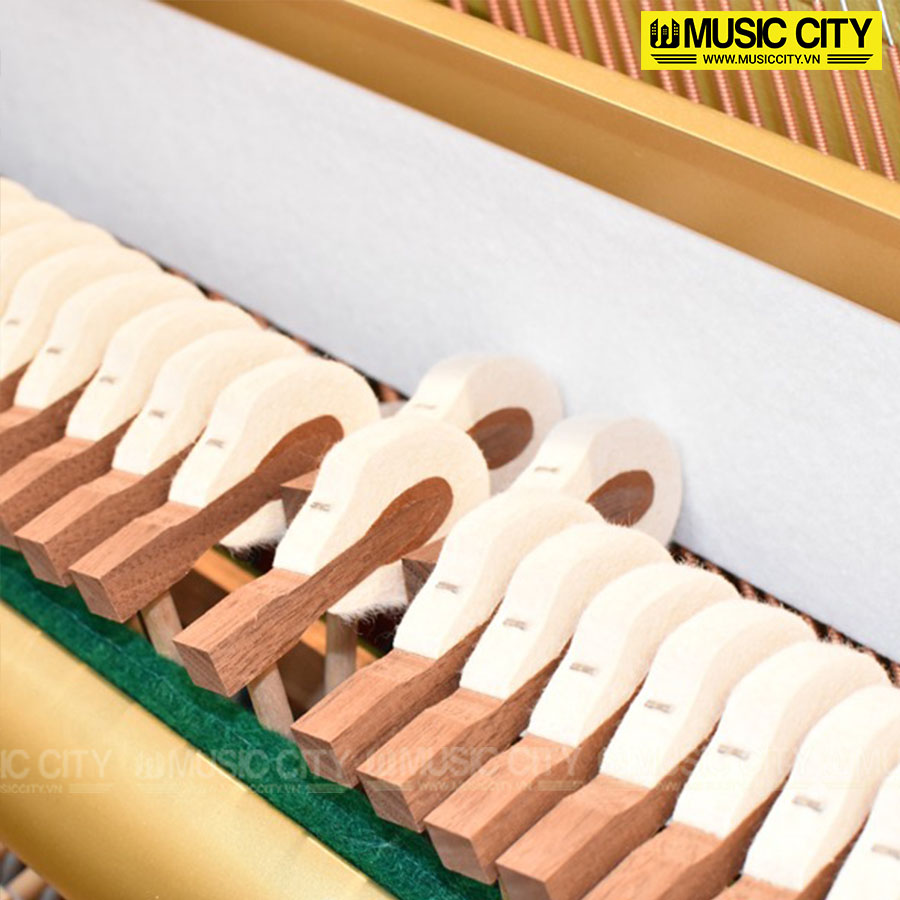 Music City – Tổng Kho Piano, Guitar, Organ | Dịch Vụ Giáo Dục Âm Nhạc