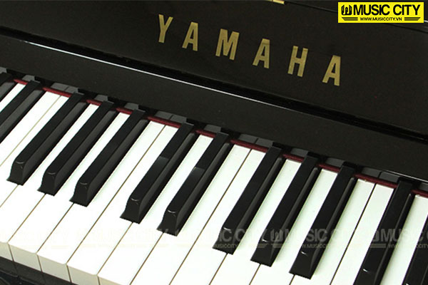 Music City – Tổng Kho Piano, Guitar, Organ | Dịch Vụ Giáo Dục Âm Nhạc