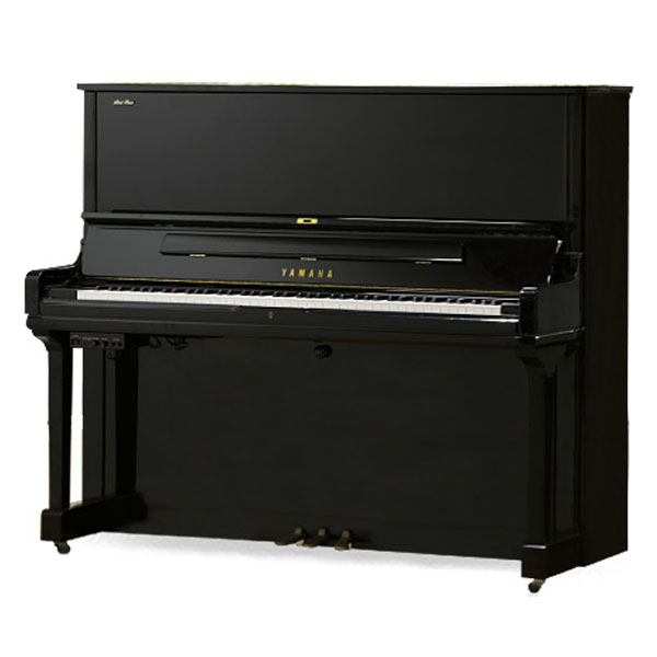 Music City – Tổng Kho Piano, Guitar, Organ | Dịch Vụ Giáo Dục Âm Nhạc