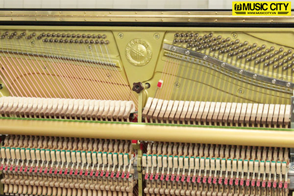 Music City – Tổng Kho Piano, Guitar, Organ | Dịch Vụ Giáo Dục Âm Nhạc
