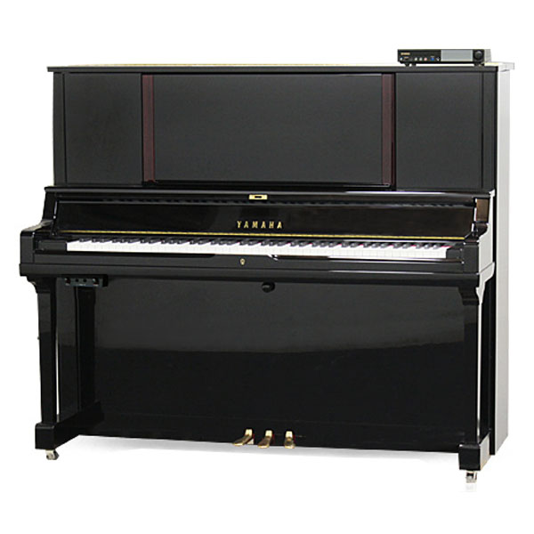 Music City – Tổng Kho Piano, Guitar, Organ | Dịch Vụ Giáo Dục Âm Nhạc