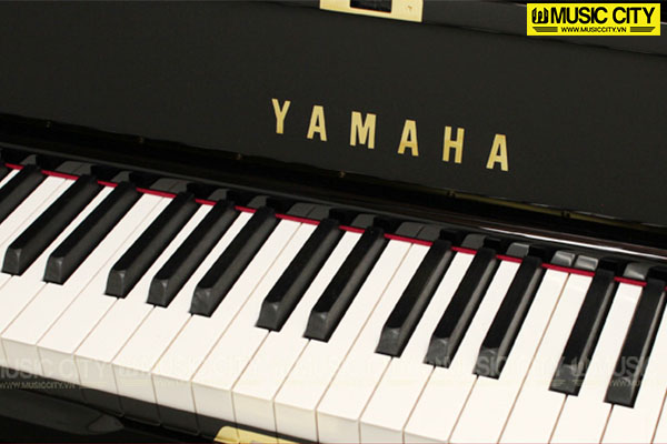 Music City – Tổng Kho Piano, Guitar, Organ | Dịch Vụ Giáo Dục Âm Nhạc