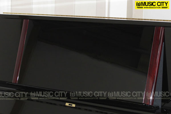 Music City – Tổng Kho Piano, Guitar, Organ | Dịch Vụ Giáo Dục Âm Nhạc
