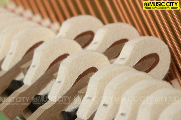 Music City – Tổng Kho Piano, Guitar, Organ | Dịch Vụ Giáo Dục Âm Nhạc