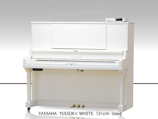 Music City – Tổng Kho Piano, Guitar, Organ | Dịch Vụ Giáo Dục Âm Nhạc