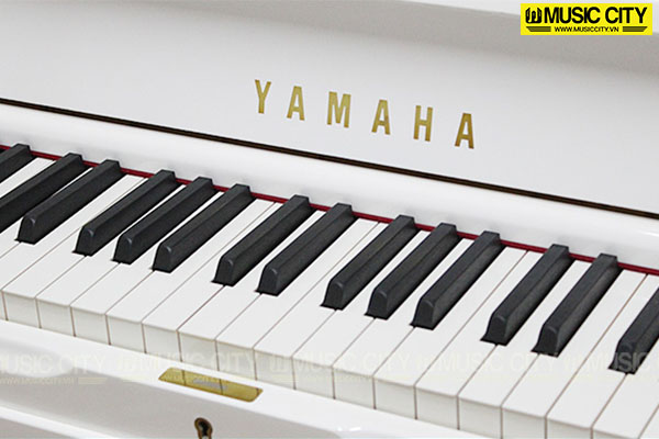 Music City – Tổng Kho Piano, Guitar, Organ | Dịch Vụ Giáo Dục Âm Nhạc