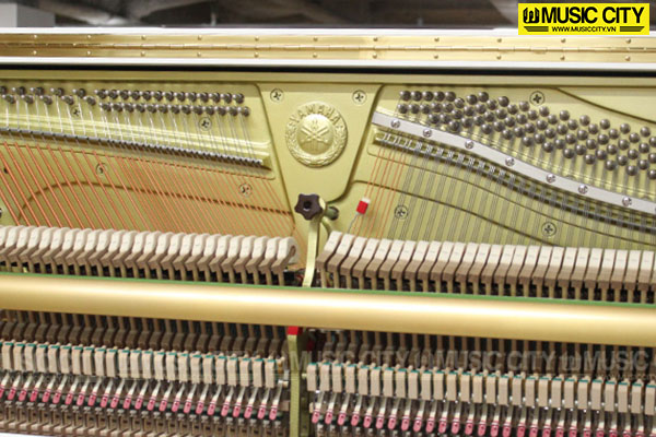 Music City – Tổng Kho Piano, Guitar, Organ | Dịch Vụ Giáo Dục Âm Nhạc