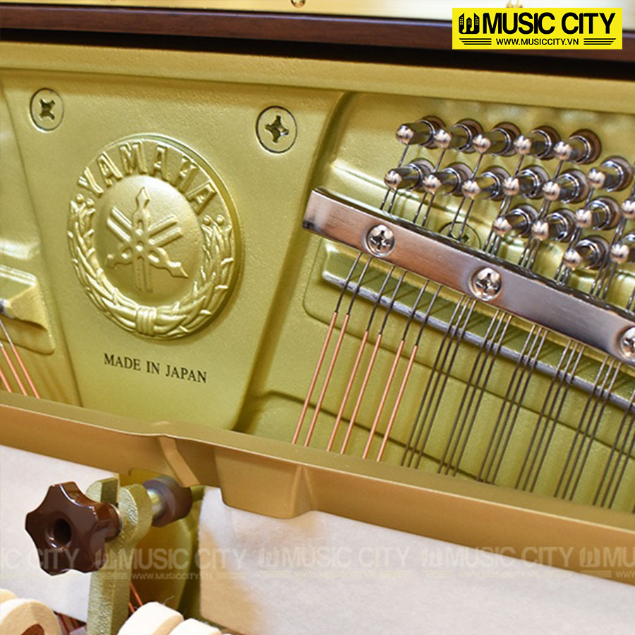 Music City – Tổng Kho Piano, Guitar, Organ | Dịch Vụ Giáo Dục Âm Nhạc
