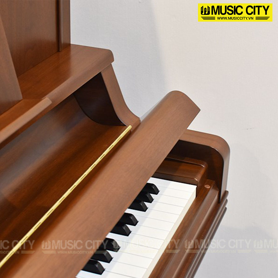 Music City – Tổng Kho Piano, Guitar, Organ | Dịch Vụ Giáo Dục Âm Nhạc