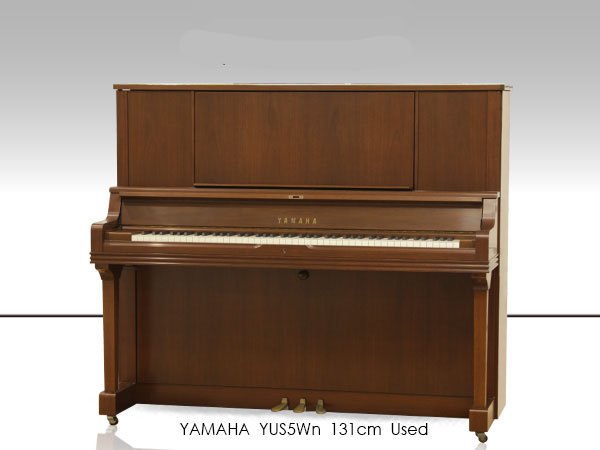 Music City – Tổng Kho Piano, Guitar, Organ | Dịch Vụ Giáo Dục Âm Nhạc