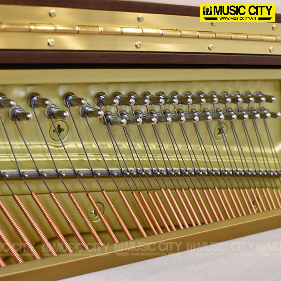 Music City – Tổng Kho Piano, Guitar, Organ | Dịch Vụ Giáo Dục Âm Nhạc