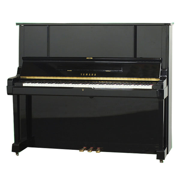 Music City – Tổng Kho Piano, Guitar, Organ | Dịch Vụ Giáo Dục Âm Nhạc