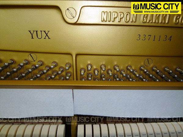Music City – Tổng Kho Piano, Guitar, Organ | Dịch Vụ Giáo Dục Âm Nhạc