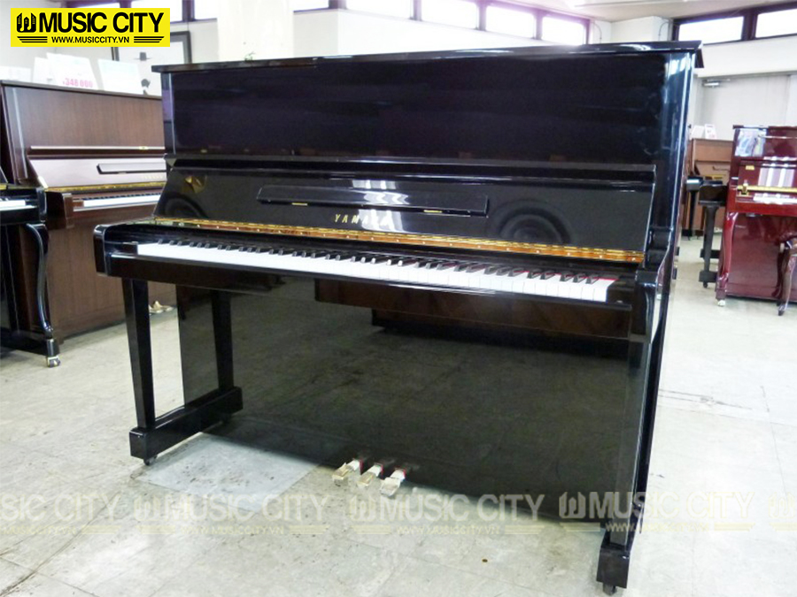 Music City – Tổng Kho Piano, Guitar, Organ | Dịch Vụ Giáo Dục Âm Nhạc