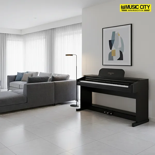 Music City – Tổng Kho Piano, Guitar, Organ | Dịch Vụ Giáo Dục Âm Nhạc
