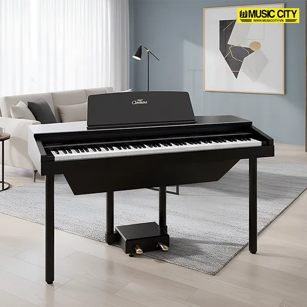 Music City – Tổng Kho Piano, Guitar, Organ | Dịch Vụ Giáo Dục Âm Nhạc