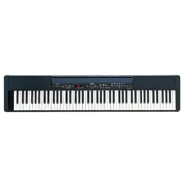 Music City – Tổng Kho Piano, Guitar, Organ | Dịch Vụ Giáo Dục Âm Nhạc