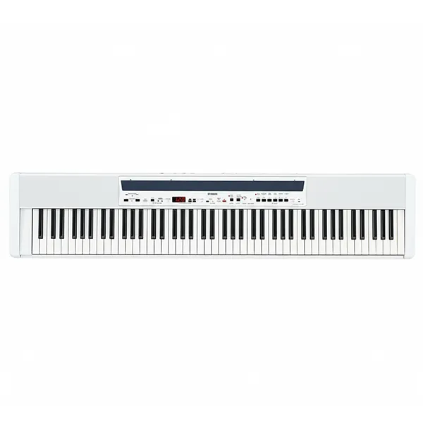 Music City – Tổng Kho Piano, Guitar, Organ | Dịch Vụ Giáo Dục Âm Nhạc