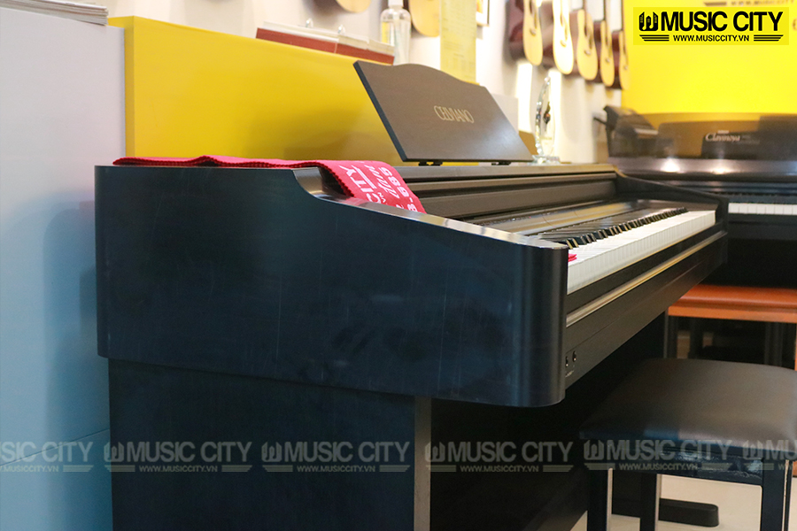 Music City – Tổng Kho Piano, Guitar, Organ | Dịch Vụ Giáo Dục Âm Nhạc