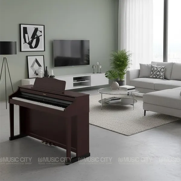 Music City – Tổng Kho Piano, Guitar, Organ | Dịch Vụ Giáo Dục Âm Nhạc