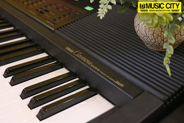 Music City – Tổng Kho Piano, Guitar, Organ | Dịch Vụ Giáo Dục Âm Nhạc