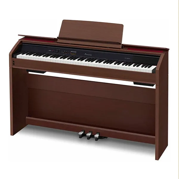 Music City – Tổng Kho Piano, Guitar, Organ | Dịch Vụ Giáo Dục Âm Nhạc