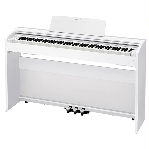 Music City – Tổng Kho Piano, Guitar, Organ | Dịch Vụ Giáo Dục Âm Nhạc