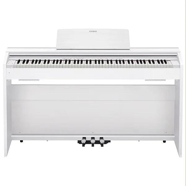 Music City – Tổng Kho Piano, Guitar, Organ | Dịch Vụ Giáo Dục Âm Nhạc
