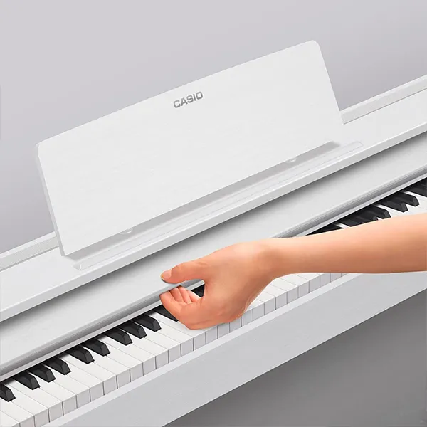 Music City – Tổng Kho Piano, Guitar, Organ | Dịch Vụ Giáo Dục Âm Nhạc
