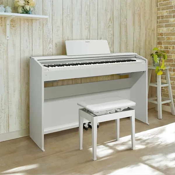 Music City – Tổng Kho Piano, Guitar, Organ | Dịch Vụ Giáo Dục Âm Nhạc