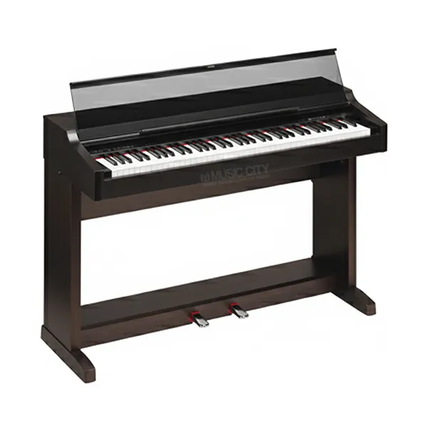 Music City – Tổng Kho Piano, Guitar, Organ | Dịch Vụ Giáo Dục Âm Nhạc