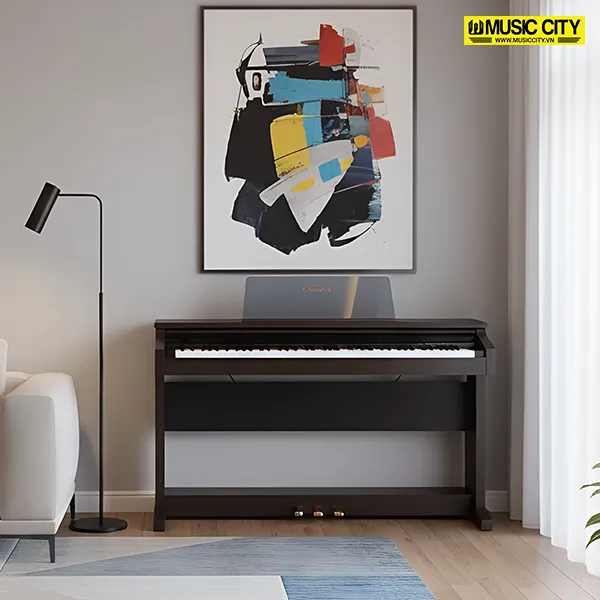 Music City – Tổng Kho Piano, Guitar, Organ | Dịch Vụ Giáo Dục Âm Nhạc