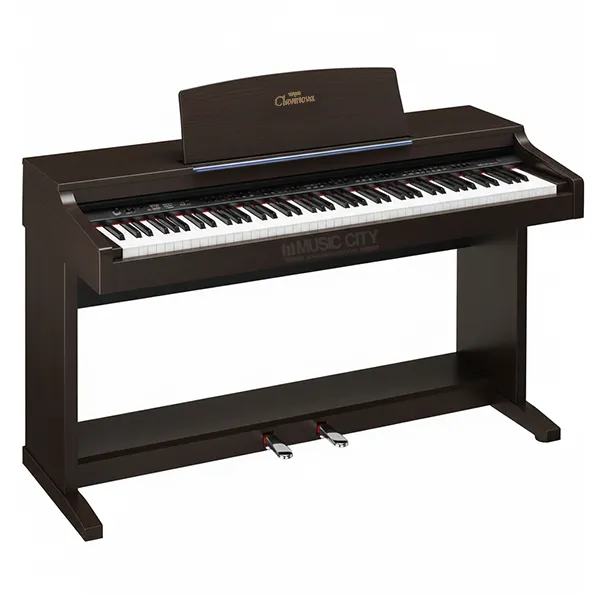 Music City – Tổng Kho Piano, Guitar, Organ | Dịch Vụ Giáo Dục Âm Nhạc
