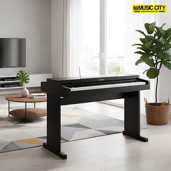 Music City – Tổng Kho Piano, Guitar, Organ | Dịch Vụ Giáo Dục Âm Nhạc