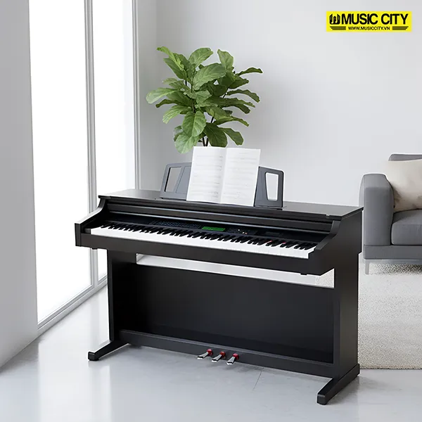 Music City – Tổng Kho Piano, Guitar, Organ | Dịch Vụ Giáo Dục Âm Nhạc
