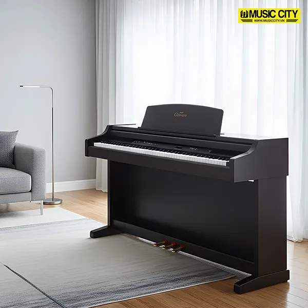 Music City – Tổng Kho Piano, Guitar, Organ | Dịch Vụ Giáo Dục Âm Nhạc