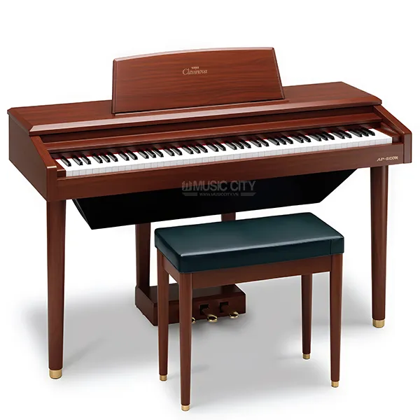 Music City – Tổng Kho Piano, Guitar, Organ | Dịch Vụ Giáo Dục Âm Nhạc