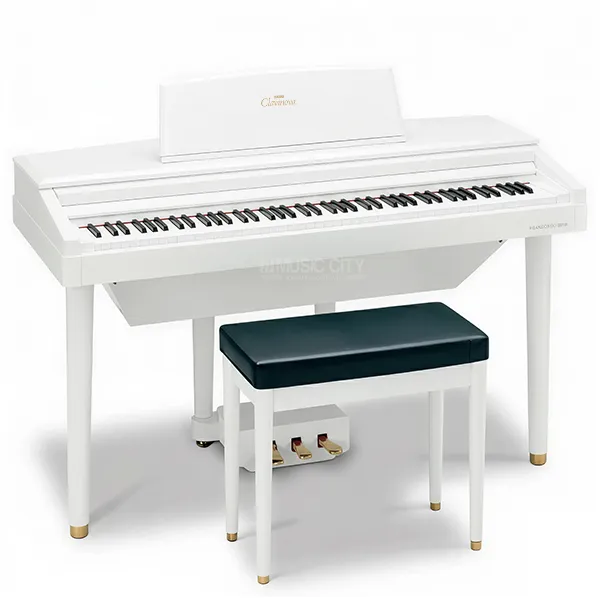 Music City – Tổng Kho Piano, Guitar, Organ | Dịch Vụ Giáo Dục Âm Nhạc