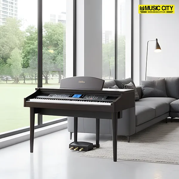 Music City – Tổng Kho Piano, Guitar, Organ | Dịch Vụ Giáo Dục Âm Nhạc