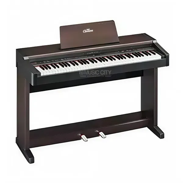 Music City – Tổng Kho Piano, Guitar, Organ | Dịch Vụ Giáo Dục Âm Nhạc
