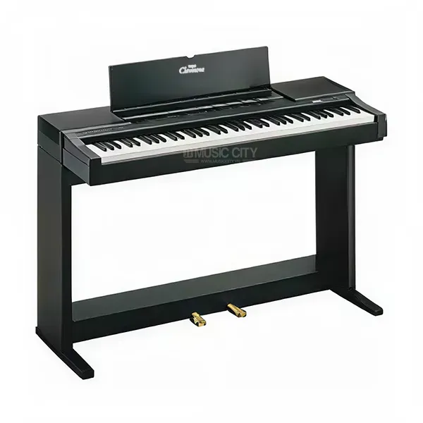 Music City – Tổng Kho Piano, Guitar, Organ | Dịch Vụ Giáo Dục Âm Nhạc