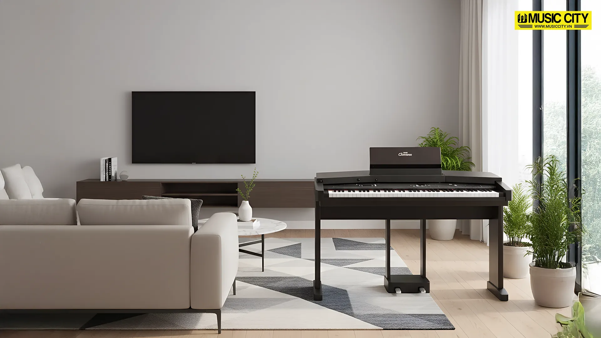 Music City – Tổng Kho Piano, Guitar, Organ | Dịch Vụ Giáo Dục Âm Nhạc