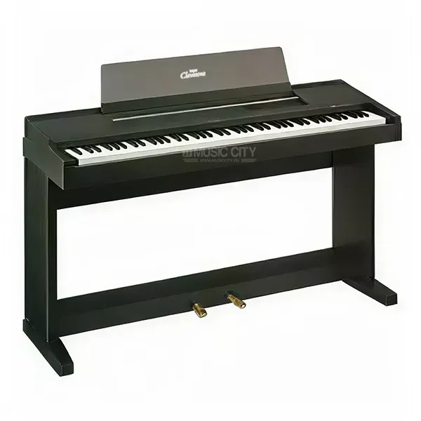 Music City – Tổng Kho Piano, Guitar, Organ | Dịch Vụ Giáo Dục Âm Nhạc