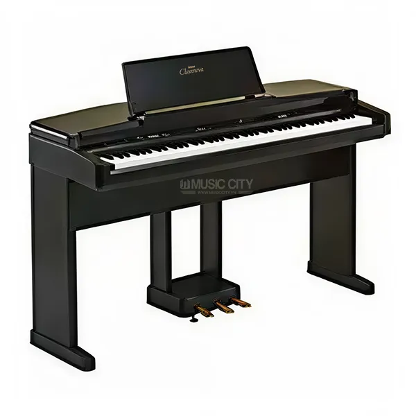 Music City – Tổng Kho Piano, Guitar, Organ | Dịch Vụ Giáo Dục Âm Nhạc