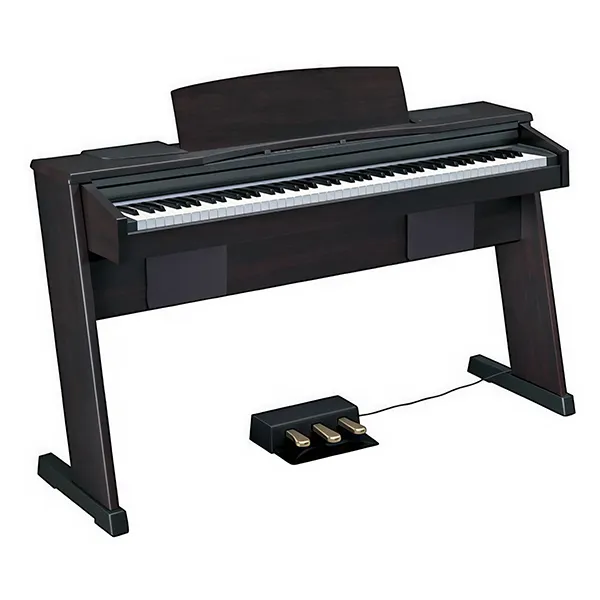 Music City – Tổng Kho Piano, Guitar, Organ | Dịch Vụ Giáo Dục Âm Nhạc