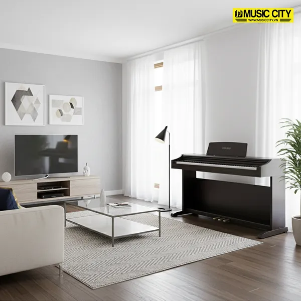 Music City – Tổng Kho Piano, Guitar, Organ | Dịch Vụ Giáo Dục Âm Nhạc