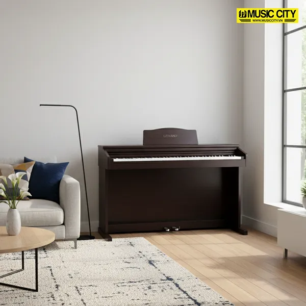Music City – Tổng Kho Piano, Guitar, Organ | Dịch Vụ Giáo Dục Âm Nhạc